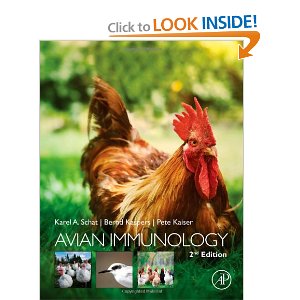 Avian Immunology 2013