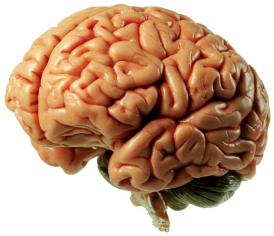 چگونه یک طرح پژوهشی برای پژوهش هایمان بنویسیم ؟-گلوبایت کتاب-WWW.Globyte.ir/wordpress/