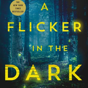 A Flicker in the Dark: A Novel     Kindle Edition-گلوبایت کتاب-WWW.Globyte.ir/wordpress/