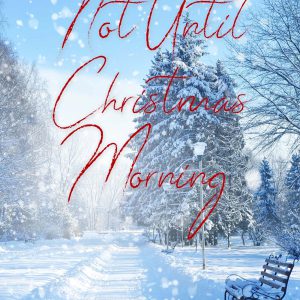 Not Until Christmas Morning: A Christian Romance (Hope Springs Book 5)     Kindle Edition-گلوبایت کتاب-WWW.Globyte.ir/wordpress/